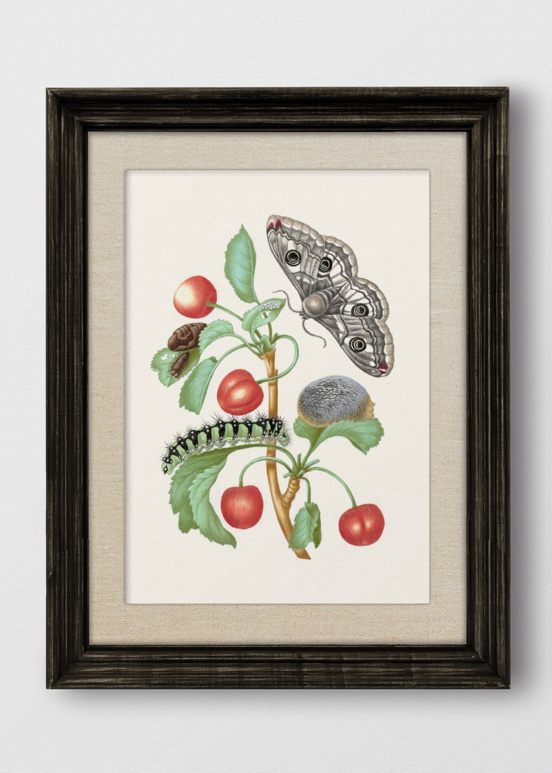 VINTAGE NEGRO LINO CRUDO