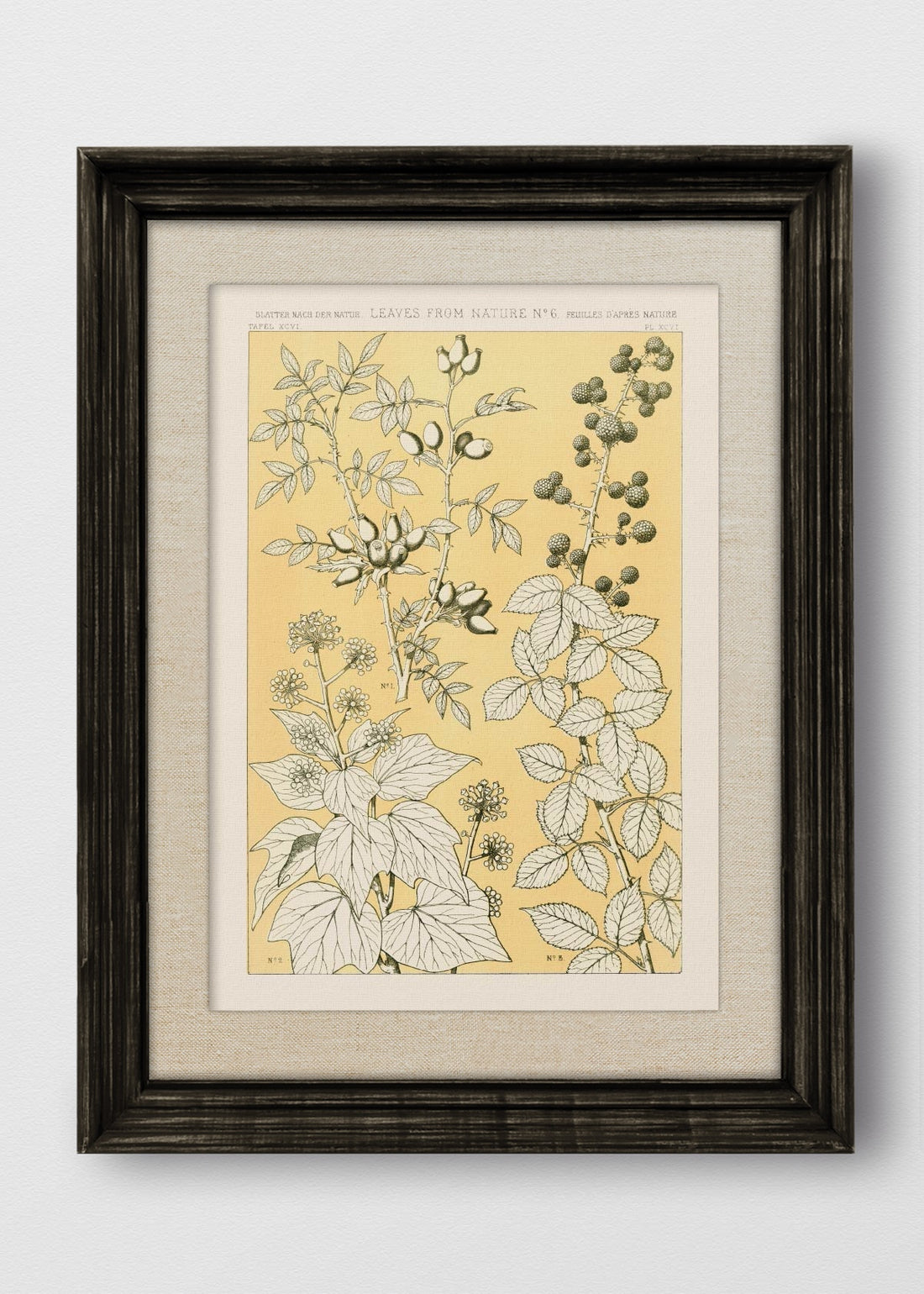 VINTAGE NEGRO LINO CRUDO