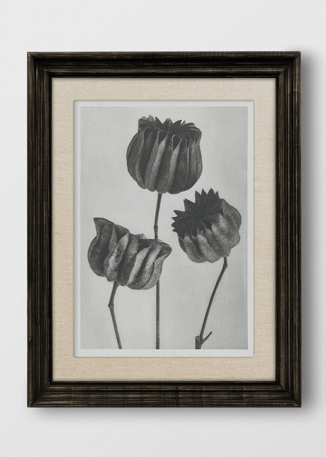 VINTAGE NEGRO LINO CRUDO