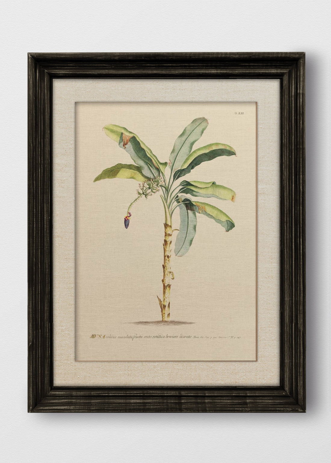 VINTAGE NEGRO LINO CRUDO