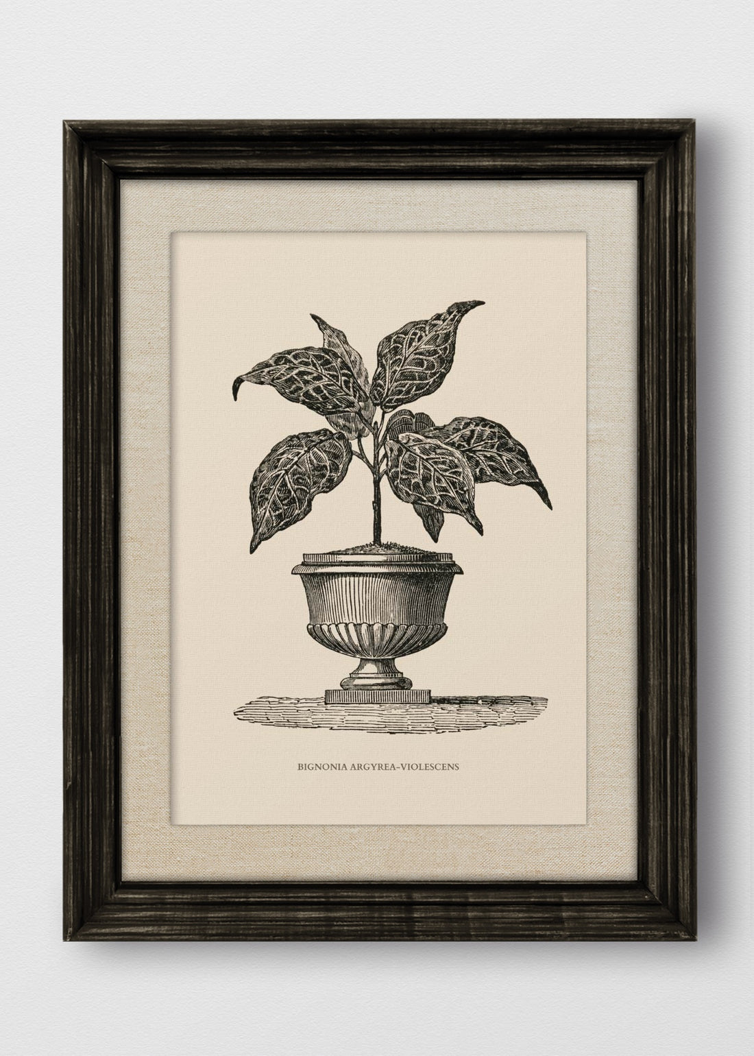 VINTAGE NEGRO LINO CRUDO