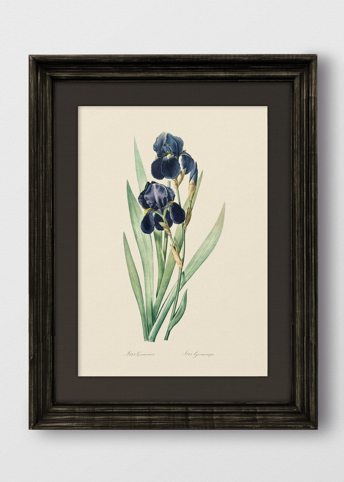 VINTAGE NEGRO LINO NEGRO