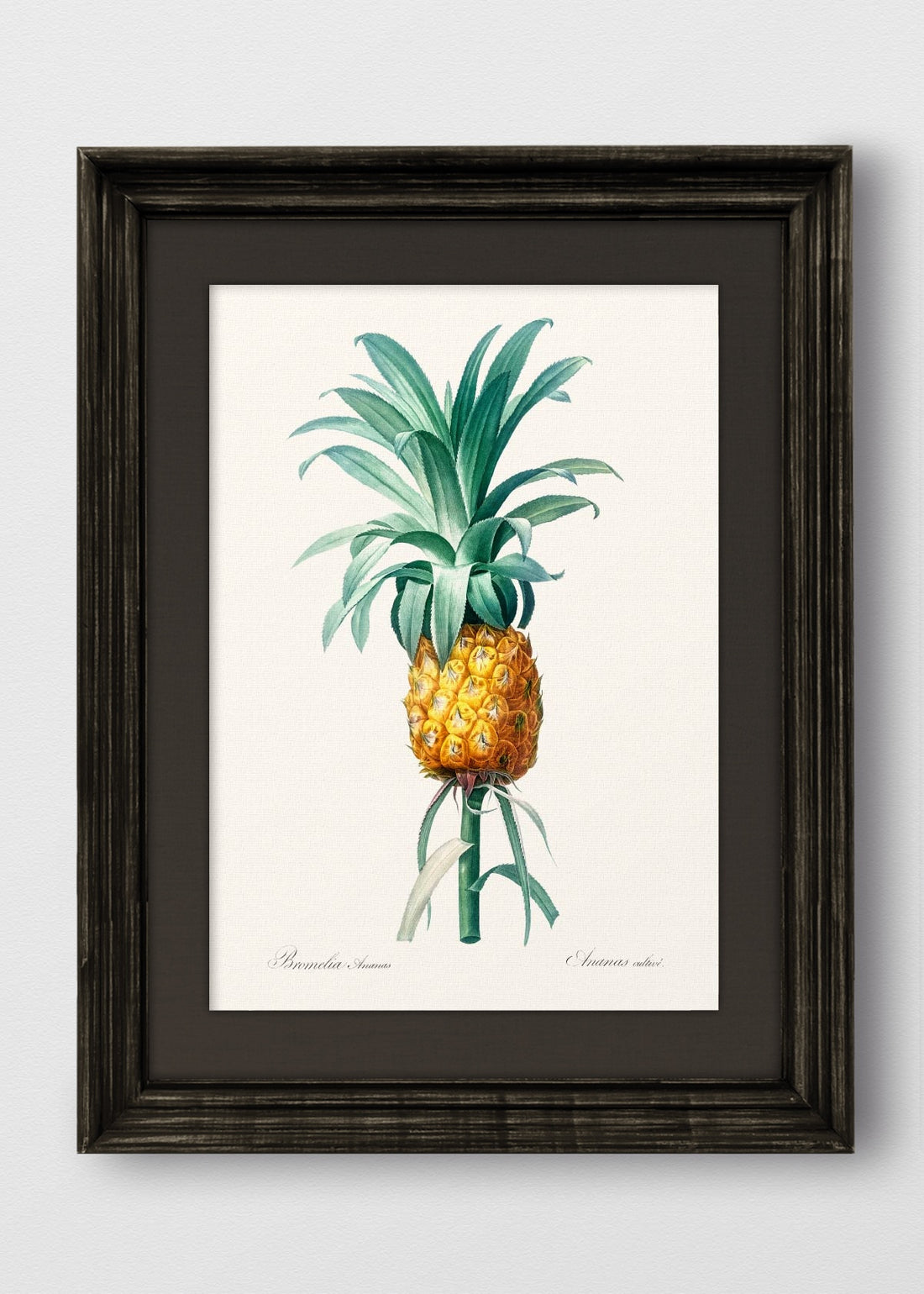 VINTAGE NEGRO LINO NEGRO