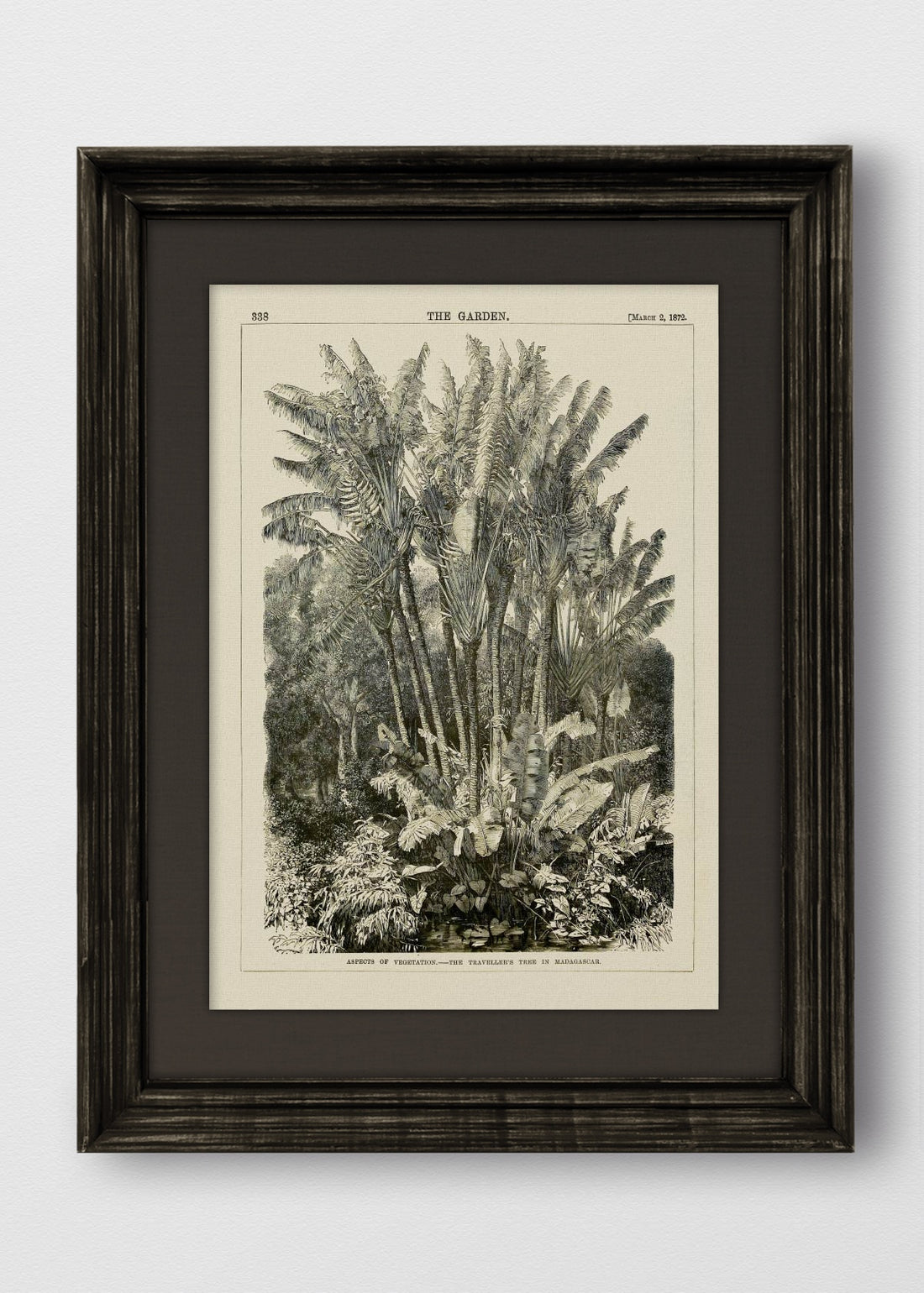 VINTAGE NEGRO LINO NEGRO