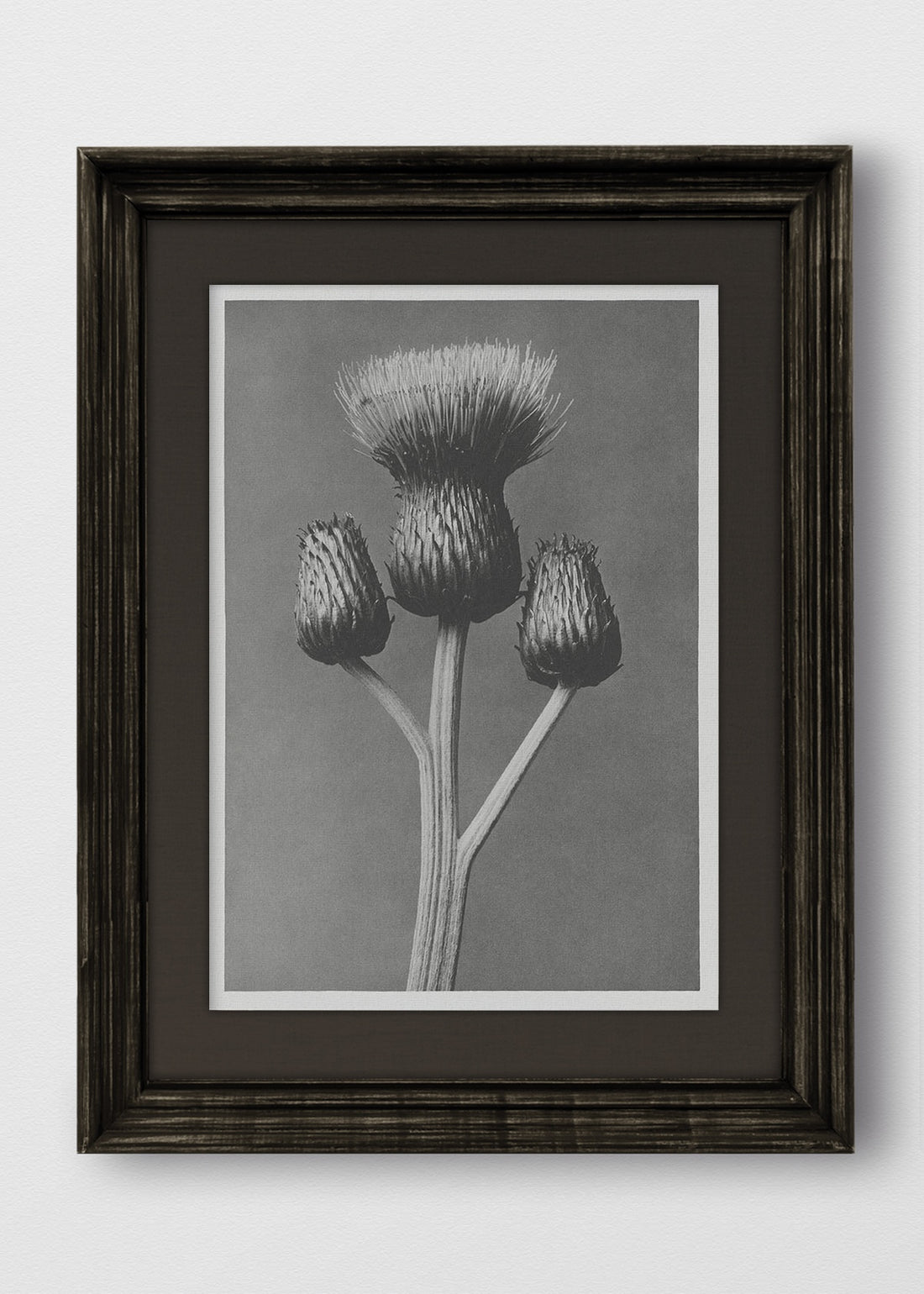 VINTAGE NEGRO LINO NEGRO