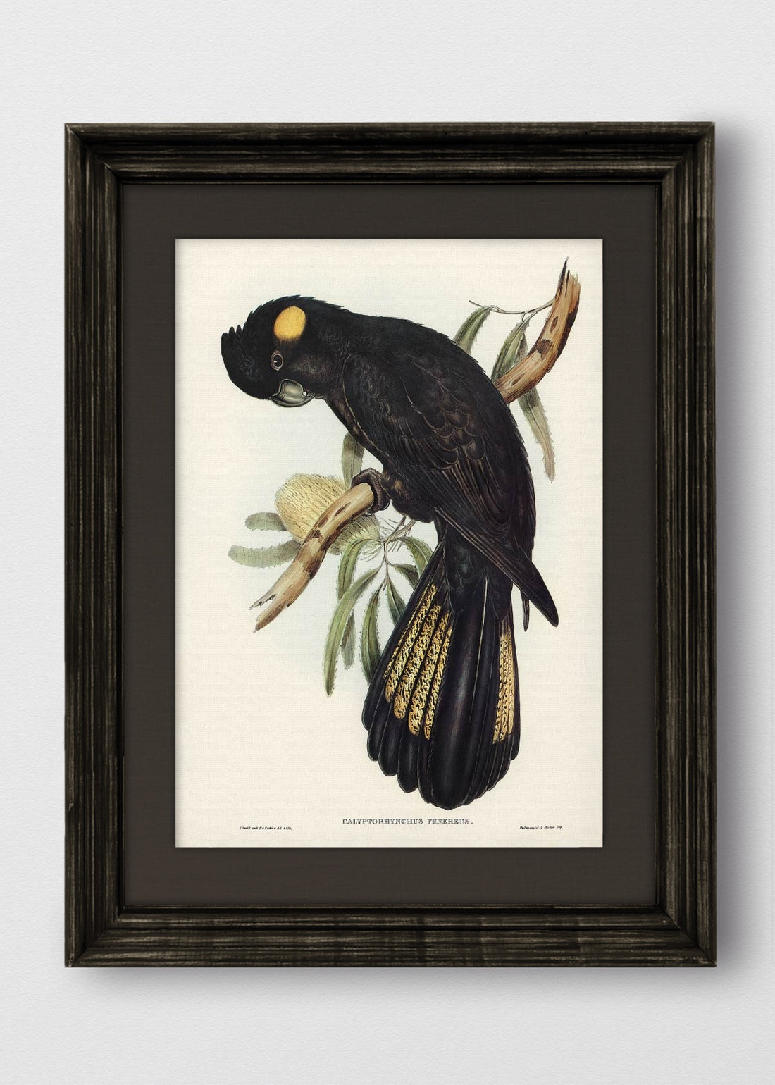 VINTAGE NEGRO LINO NEGRO