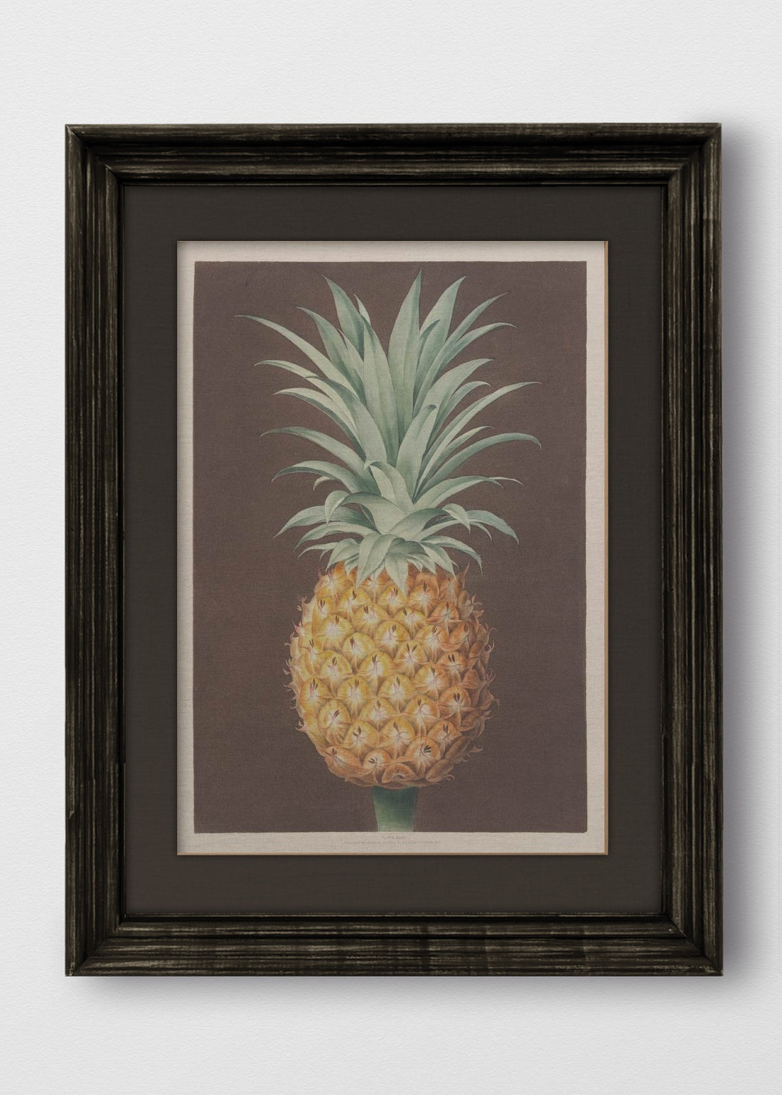 VINTAGE NEGRO LINO NEGRO