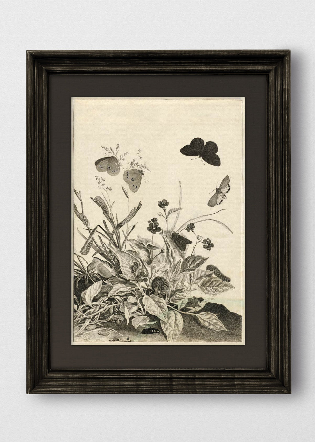 VINTAGE NEGRO LINO NEGRO