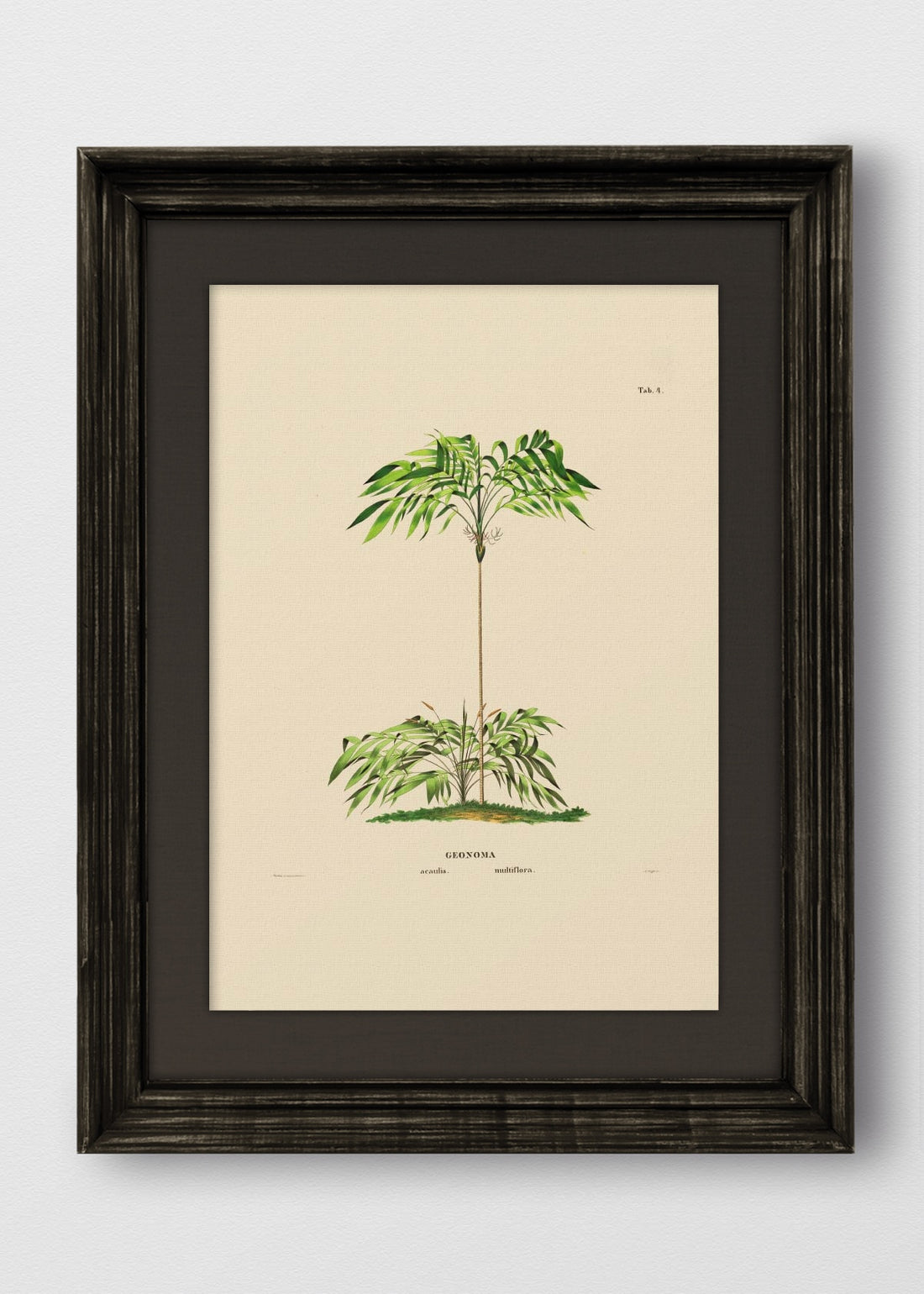 VINTAGE NEGRO LINO NEGRO