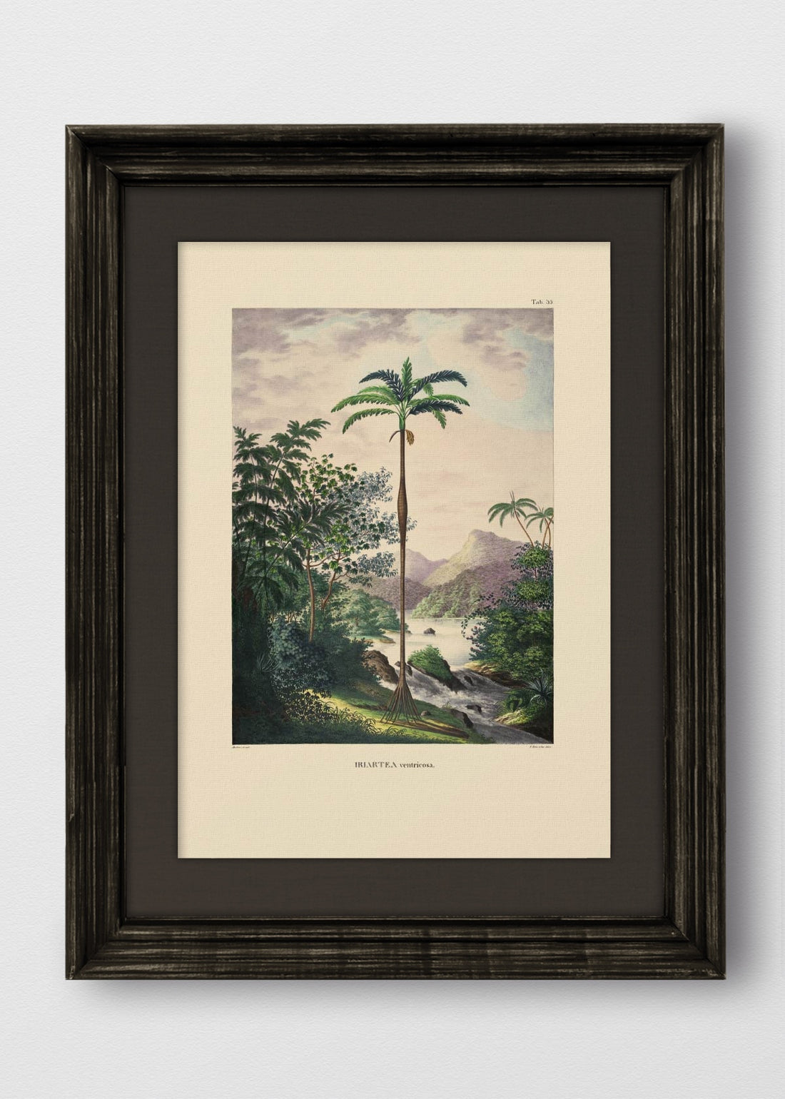 VINTAGE NEGRO LINO NEGRO