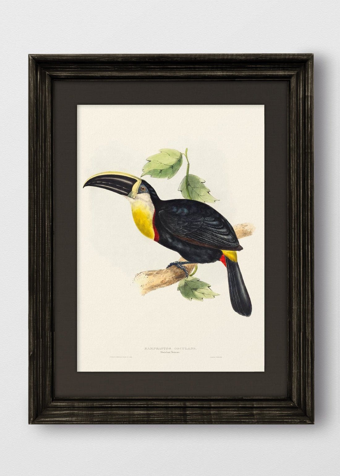 VINTAGE NEGRO LINO NEGRO