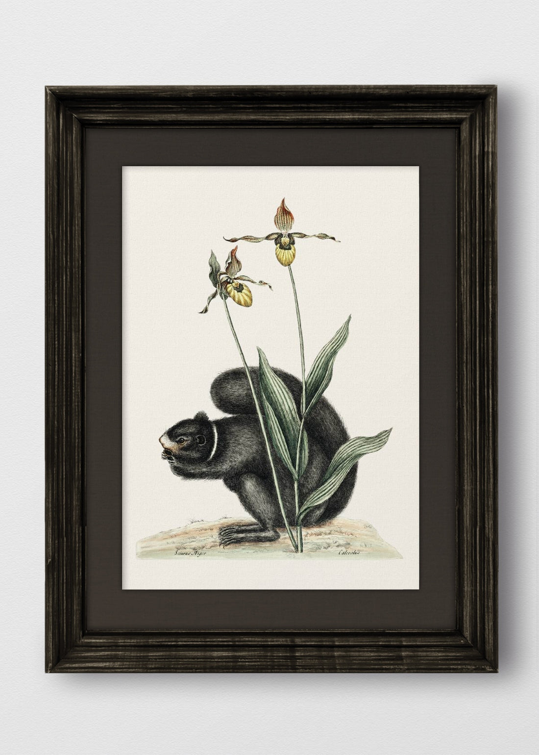 VINTAGE NEGRO LINO NEGRO