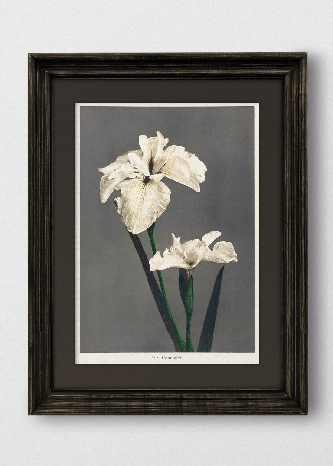 VINTAGE NEGRO LINO NEGRO