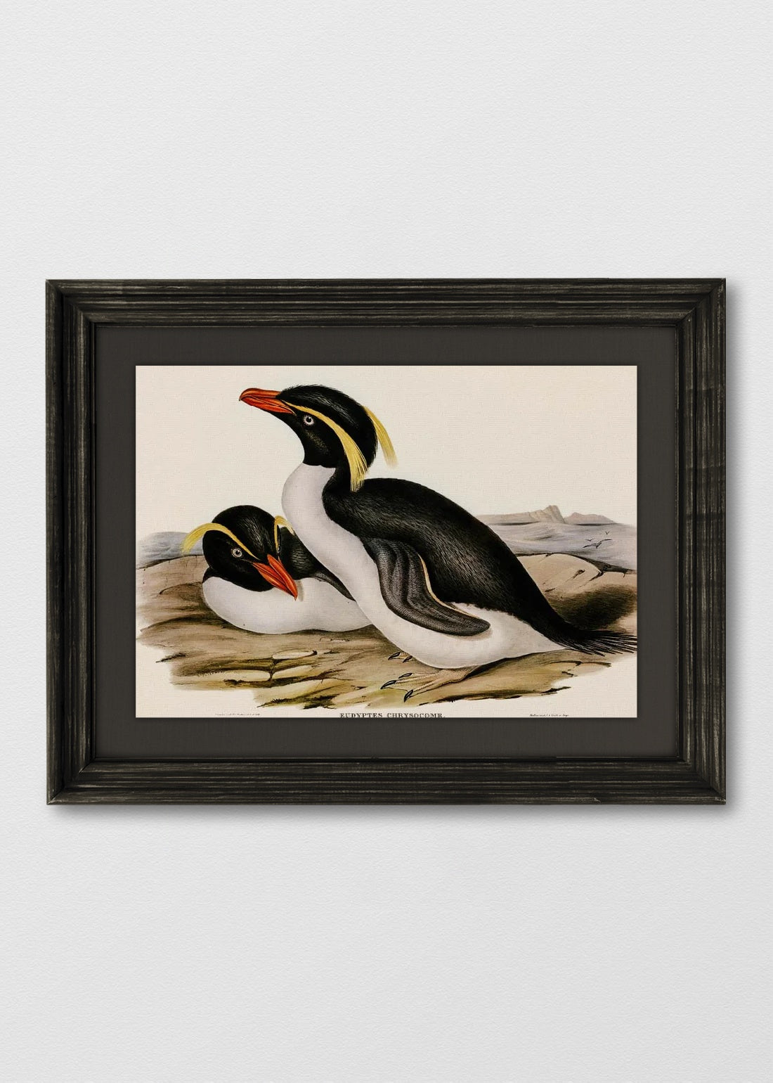 VINTAGE NEGRO LINO NEGRO