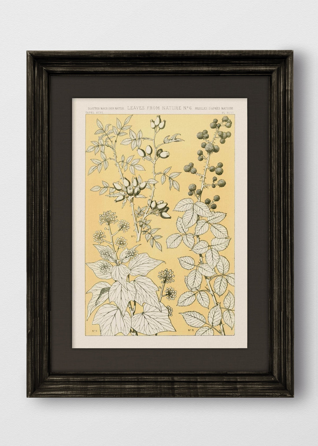 VINTAGE NEGRO LINO NEGRO