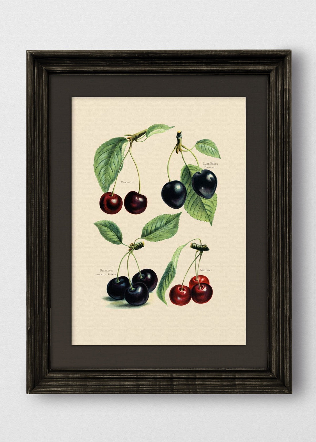 VINTAGE NEGRO LINO NEGRO