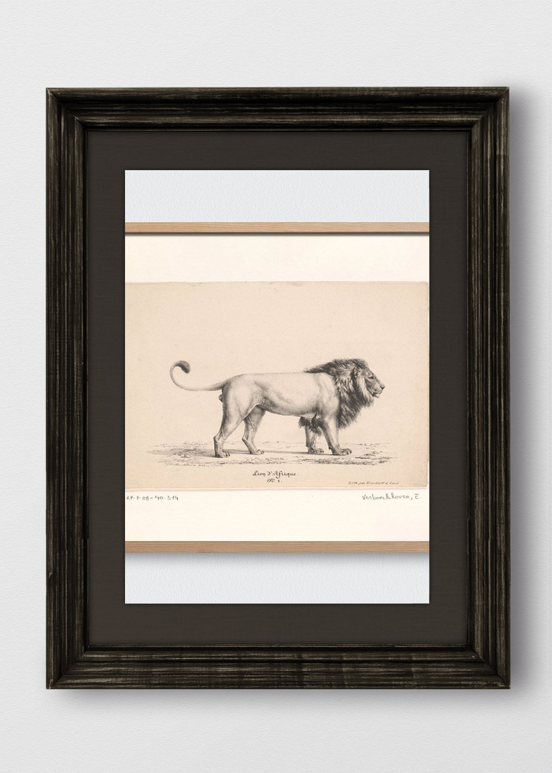 VINTAGE NEGRO LINO NEGRO