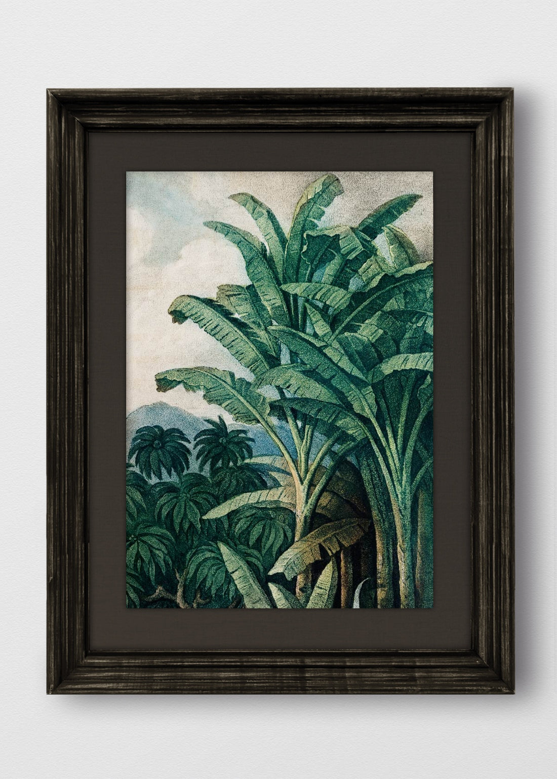 VINTAGE NEGRO LINO NEGRO