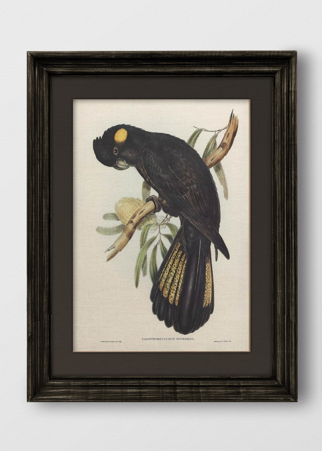 VINTAGE NEGRO LINO NEGRO