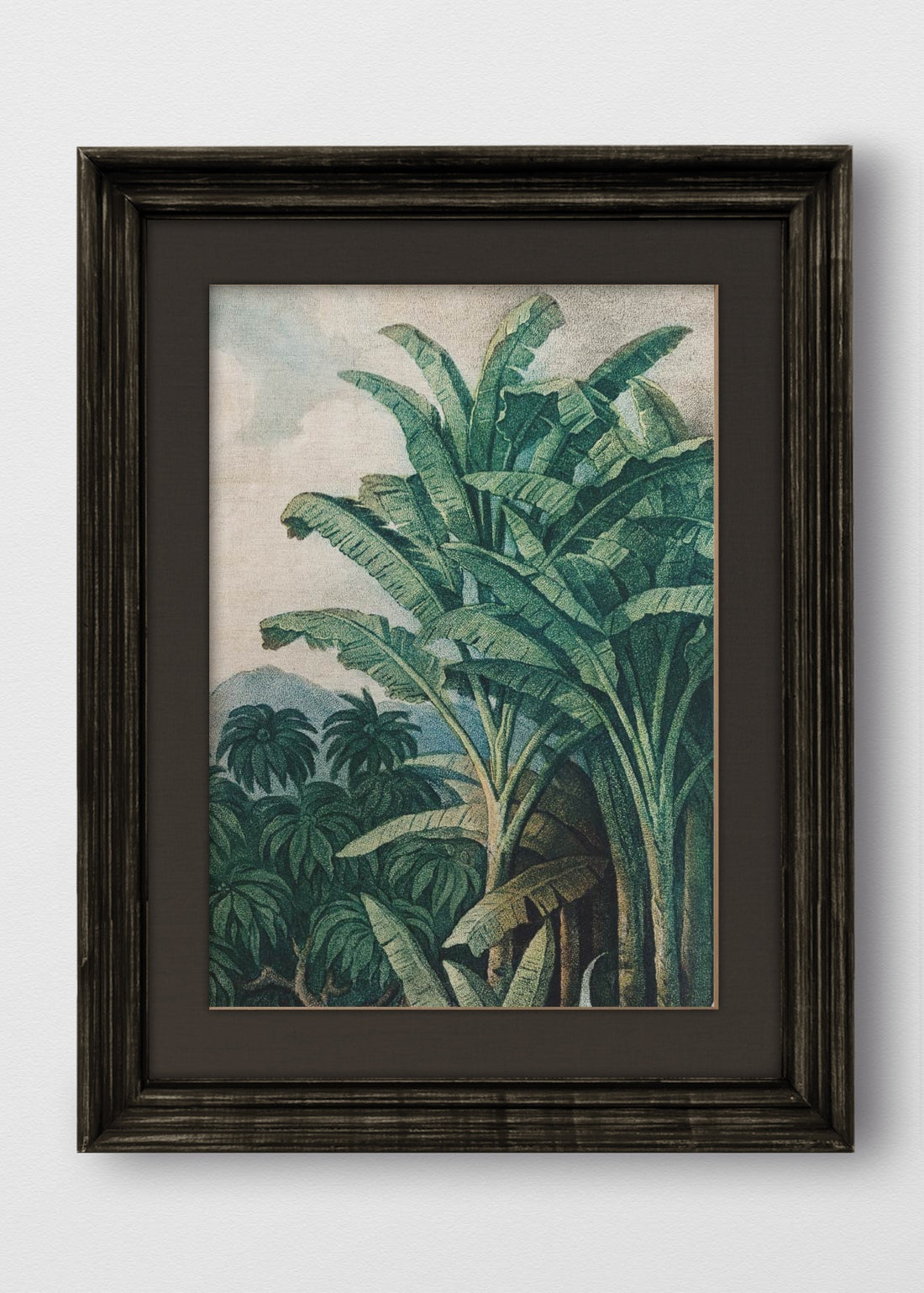 VINTAGE NEGRO LINO NEGRO