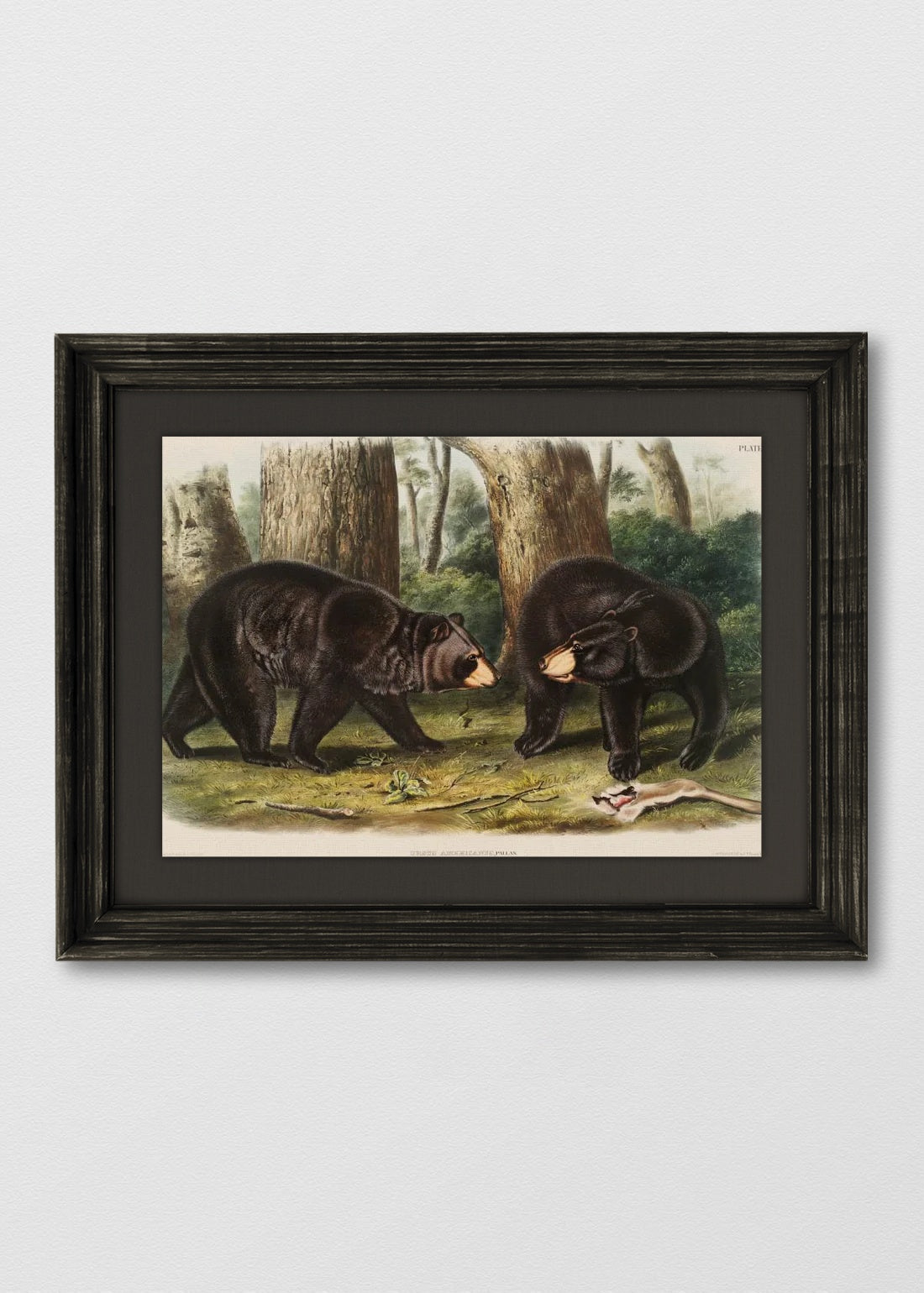 VINTAGE NEGRO LINO NEGRO