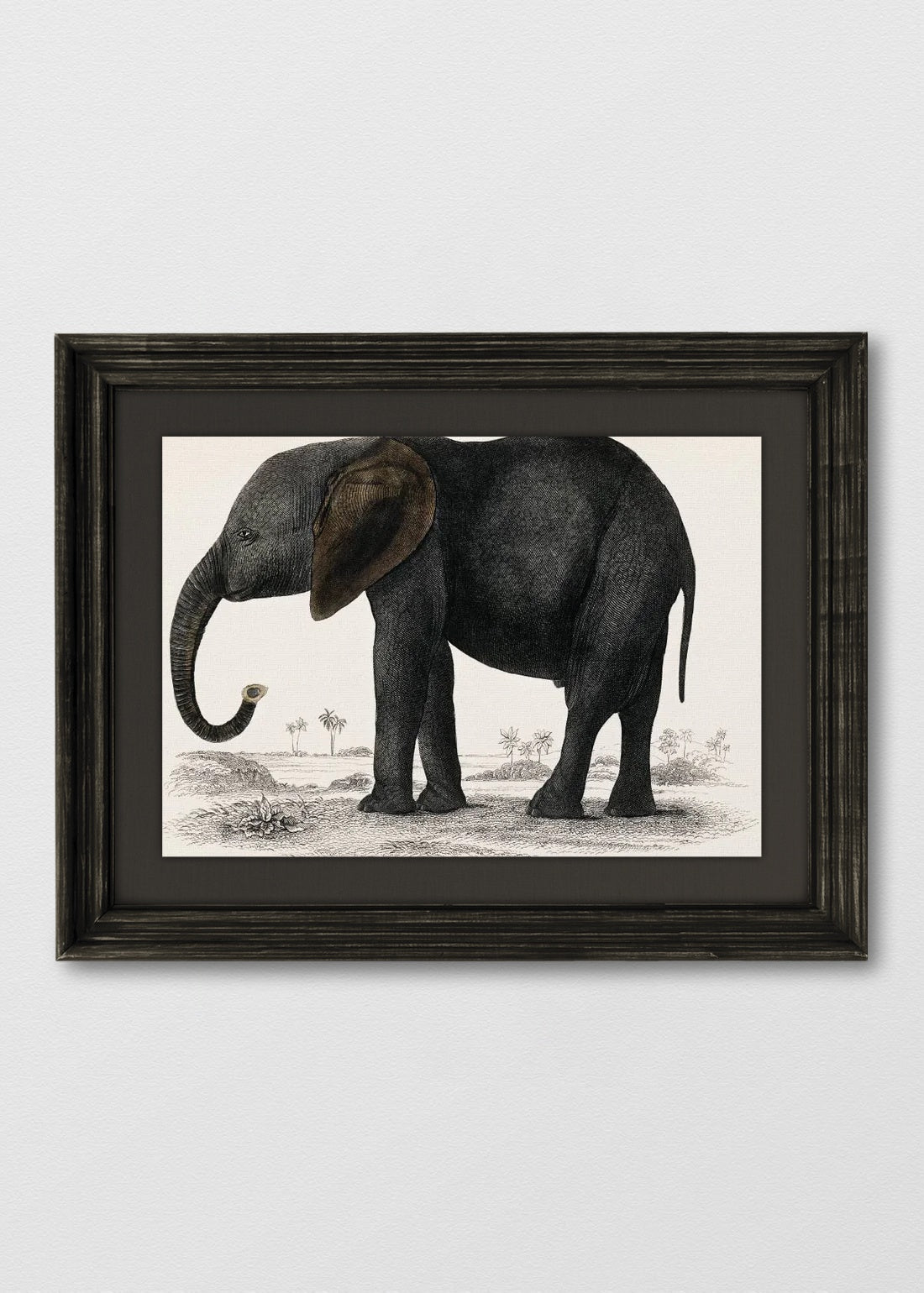 VINTAGE NEGRO LINO NEGRO