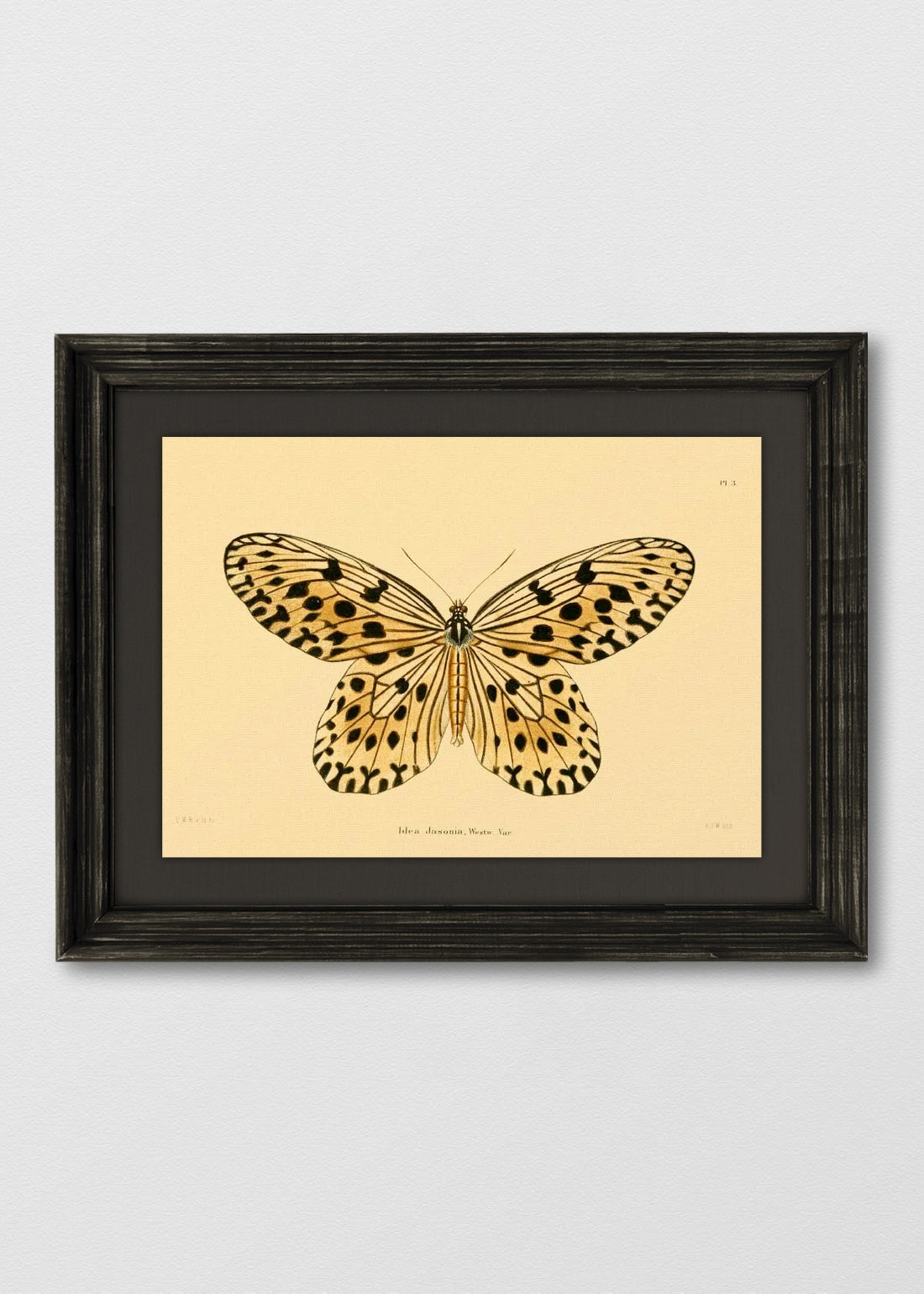 VINTAGE NEGRO LINO NEGRO