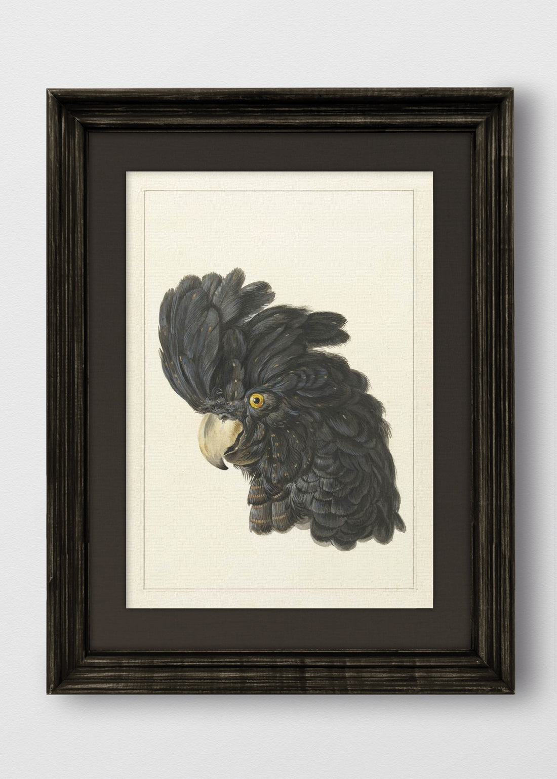 VINTAGE NEGRO LINO NEGRO