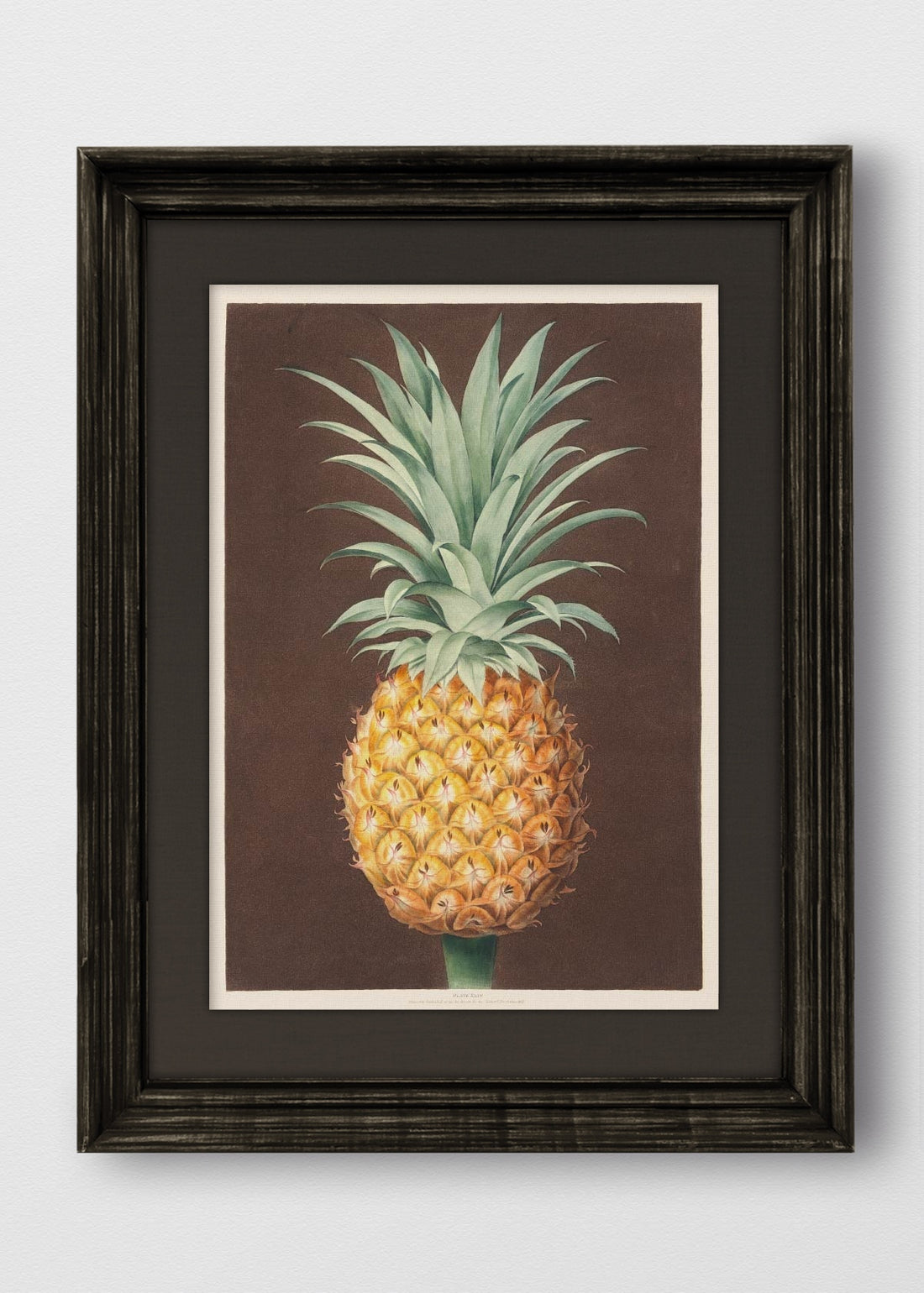 VINTAGE NEGRO LINO NEGRO