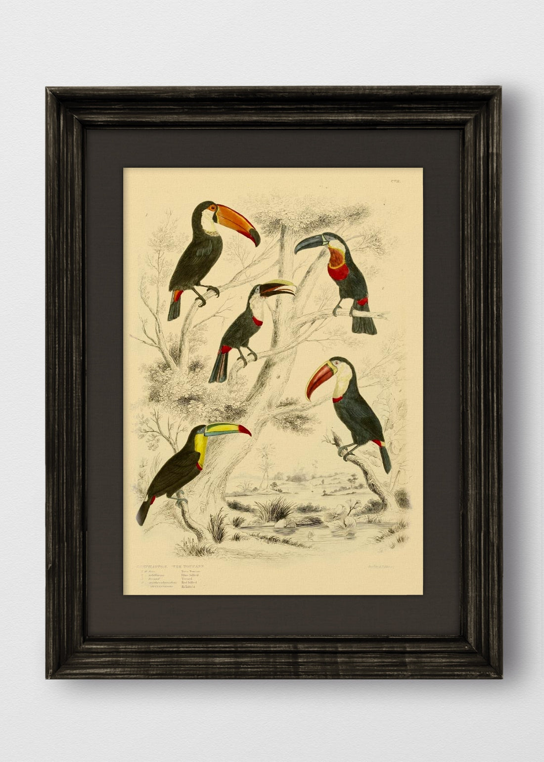 VINTAGE NEGRO LINO NEGRO