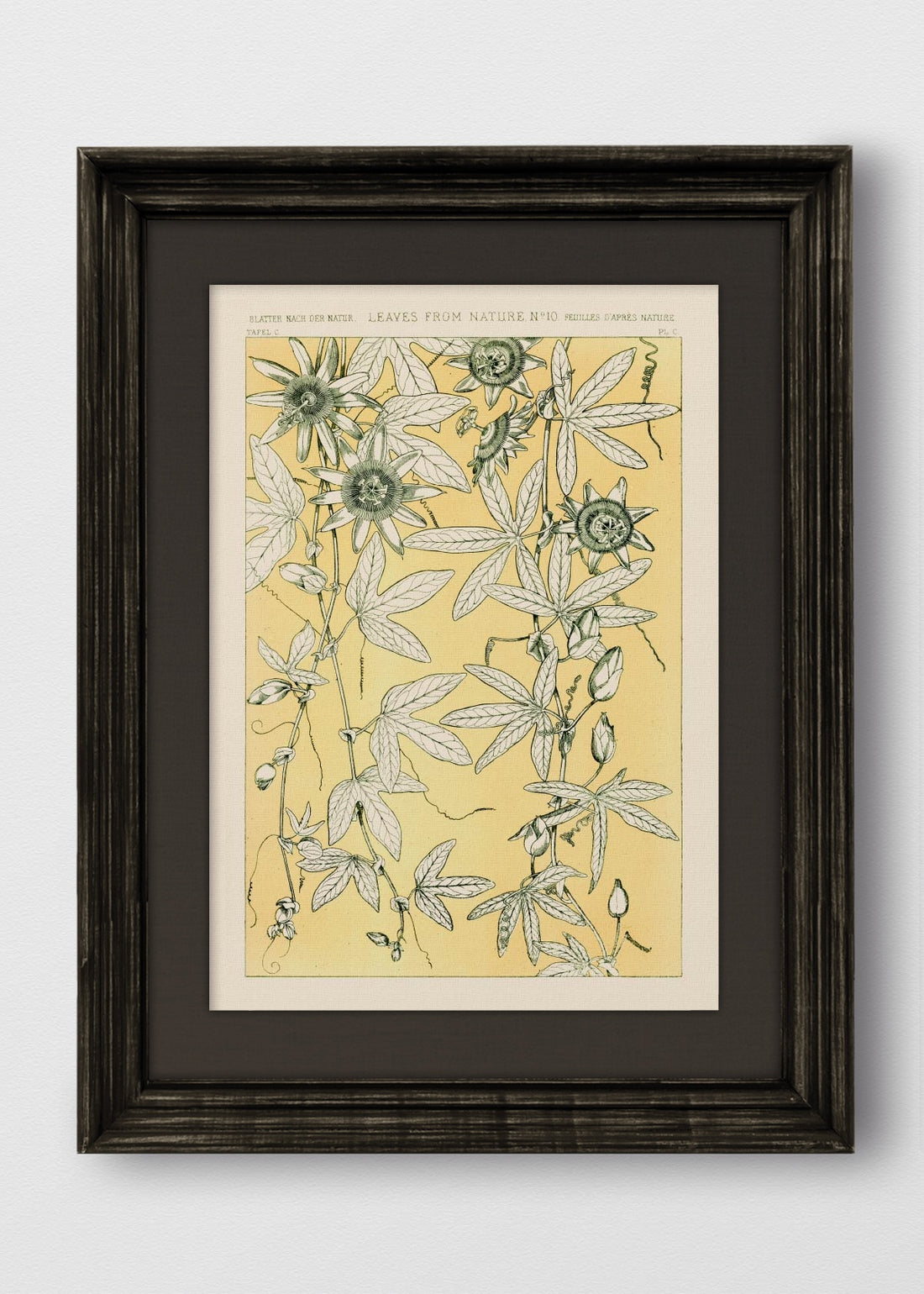 VINTAGE NEGRO LINO NEGRO