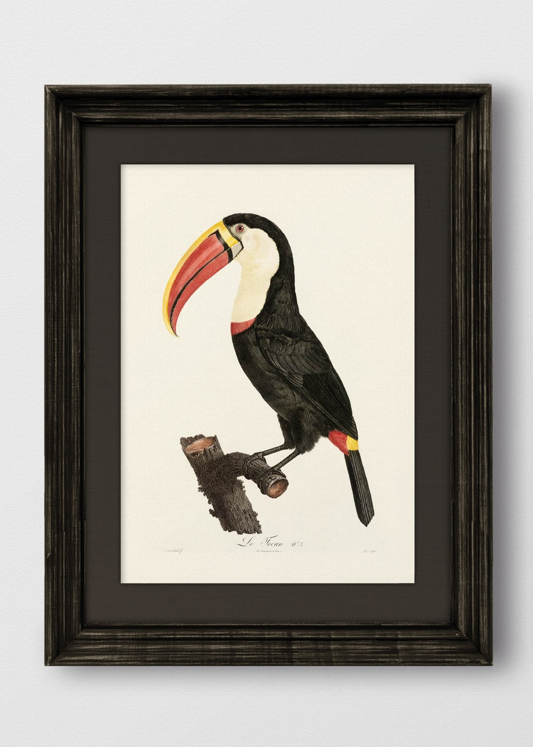 VINTAGE NEGRO LINO NEGRO