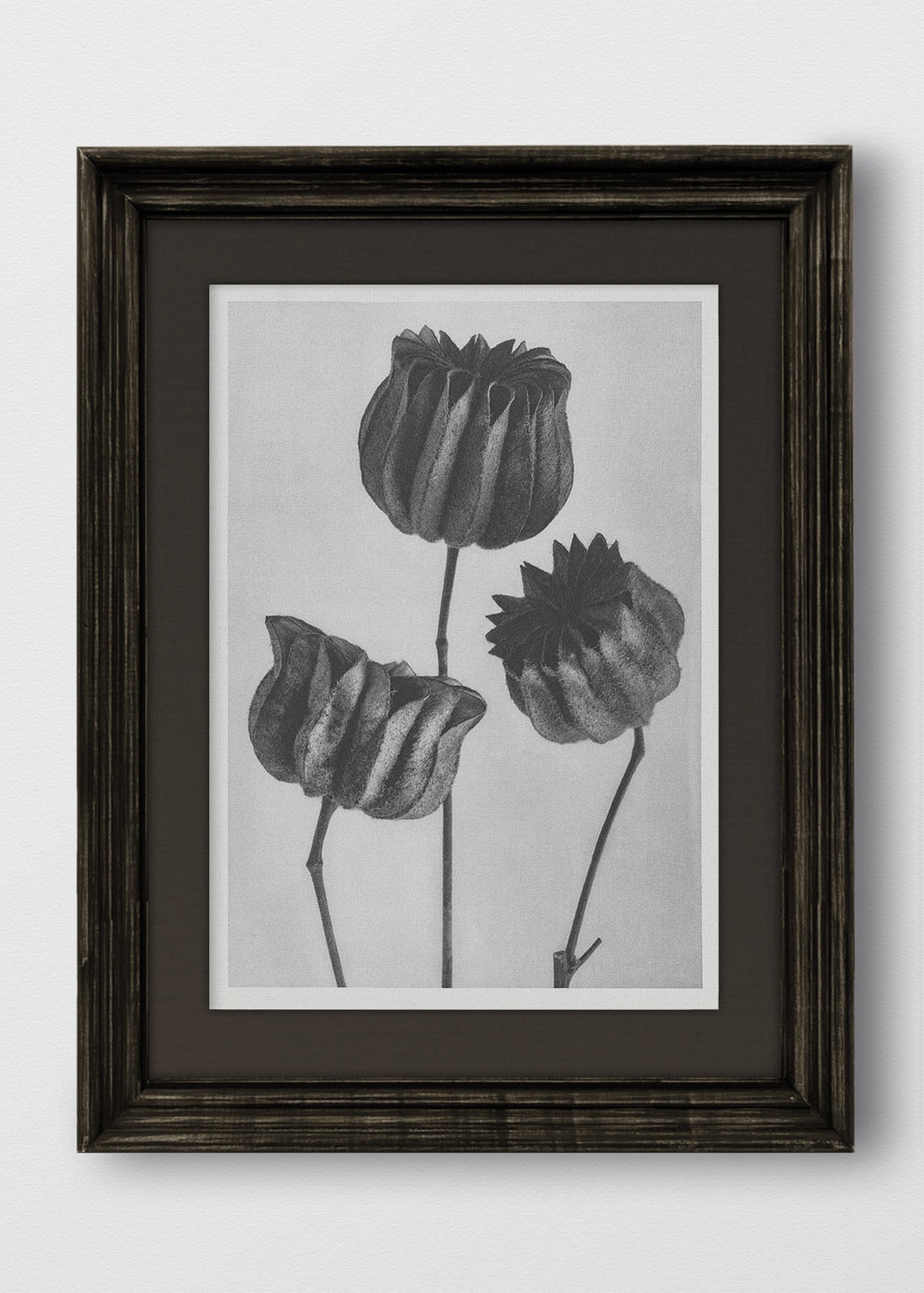 VINTAGE NEGRO LINO NEGRO