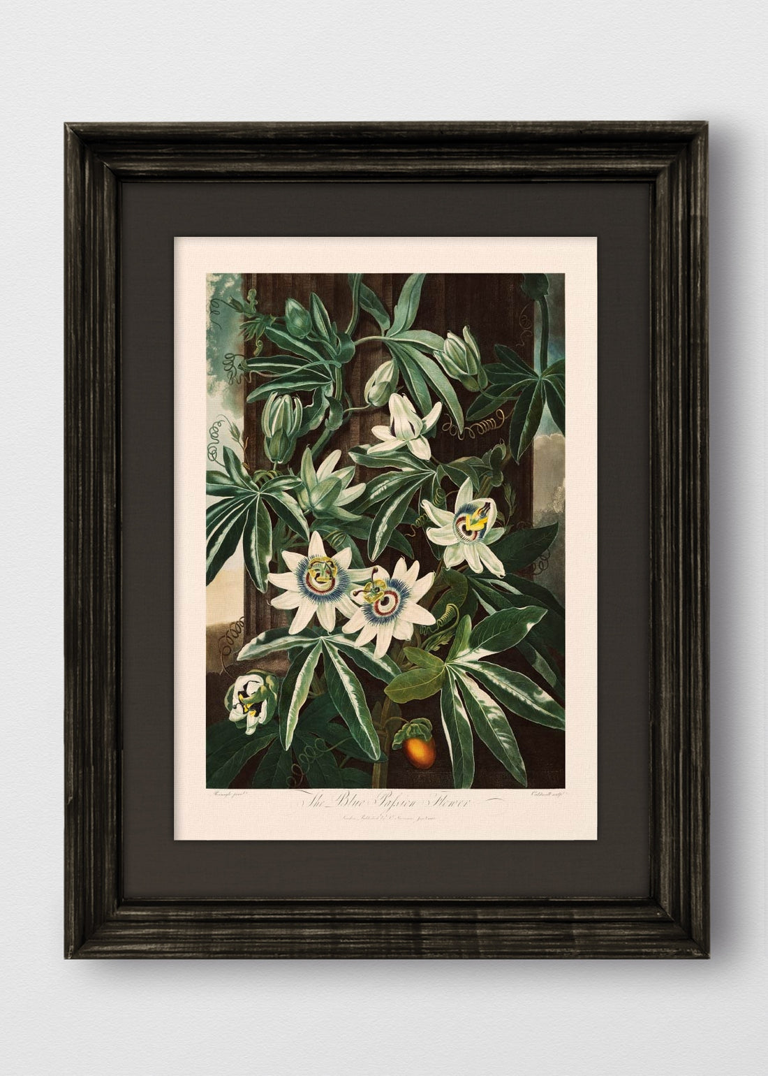 VINTAGE NEGRO LINO NEGRO
