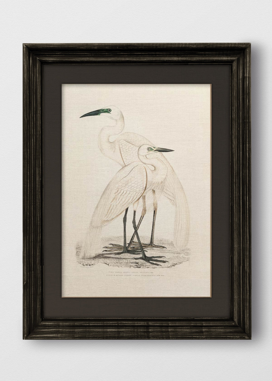 VINTAGE NEGRO LINO NEGRO