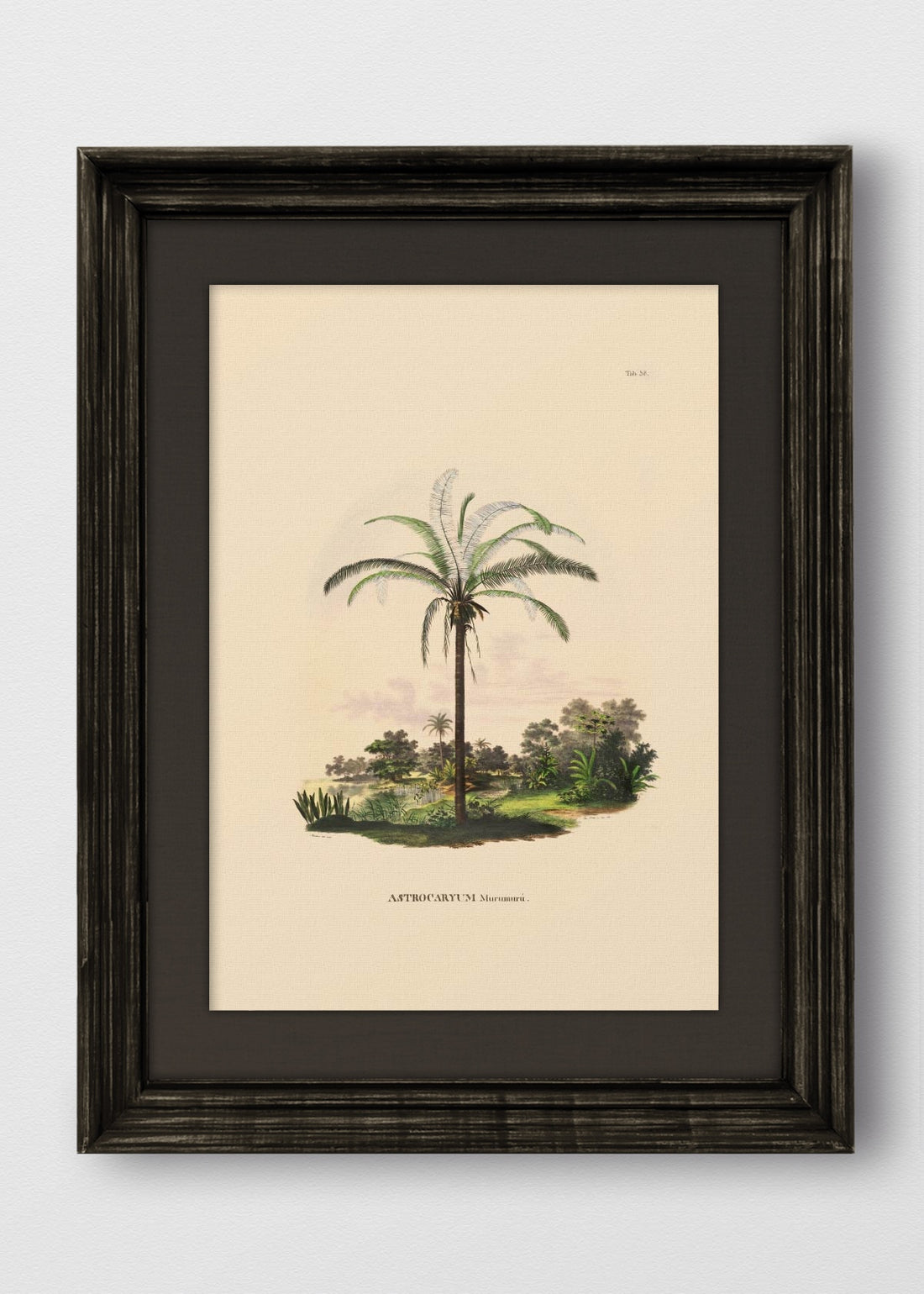 VINTAGE NEGRO LINO NEGRO