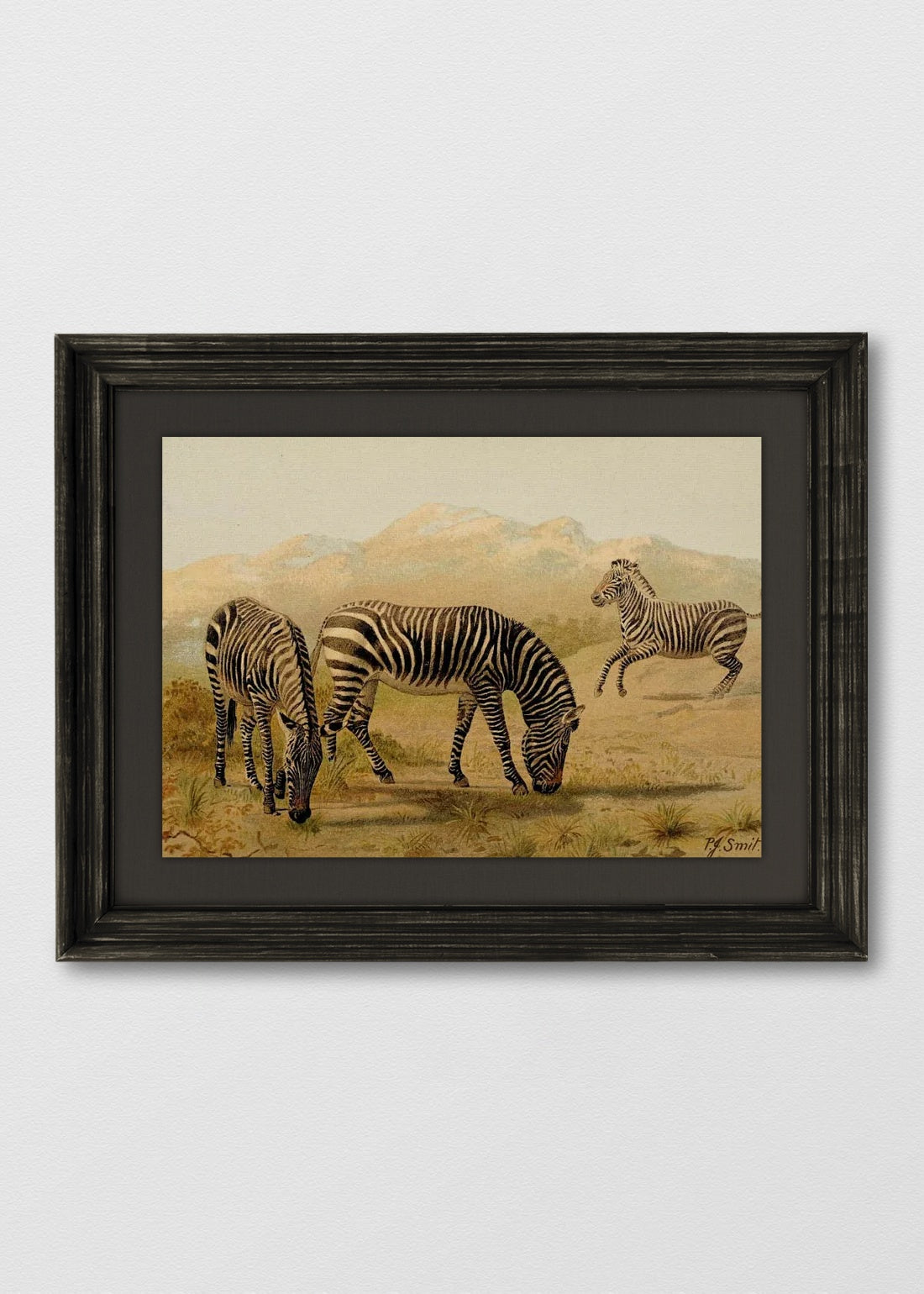 VINTAGE NEGRO LINO NEGRO
