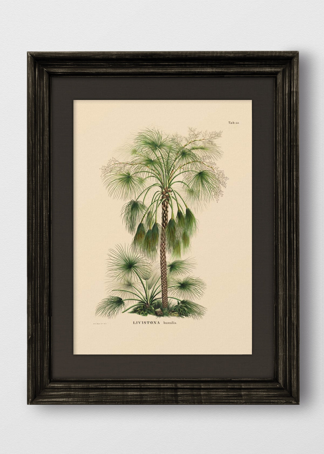 VINTAGE NEGRO LINO NEGRO