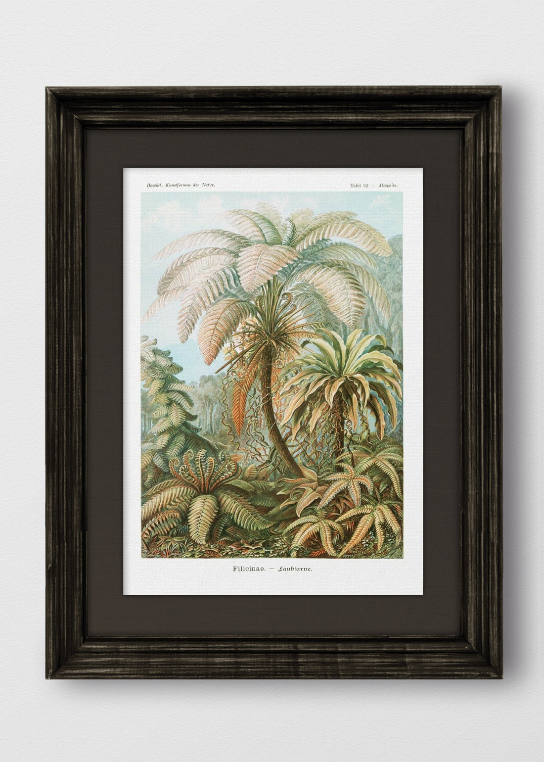 VINTAGE NEGRO LINO NEGRO