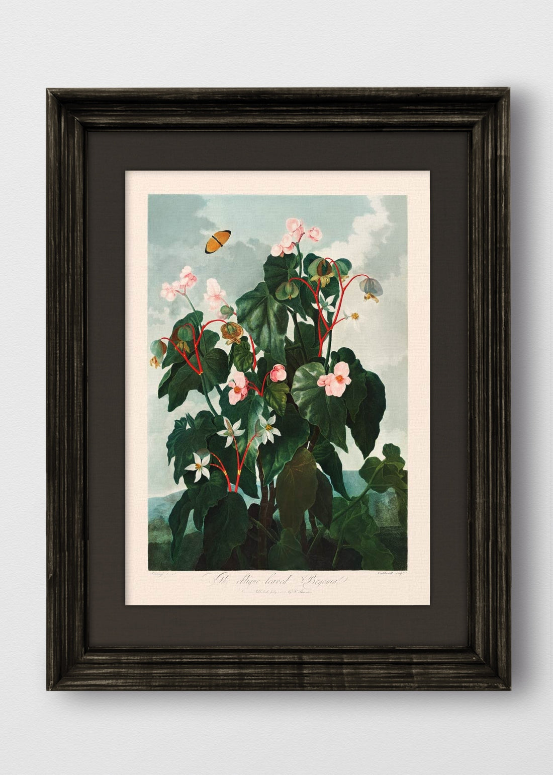 VINTAGE NEGRO LINO NEGRO
