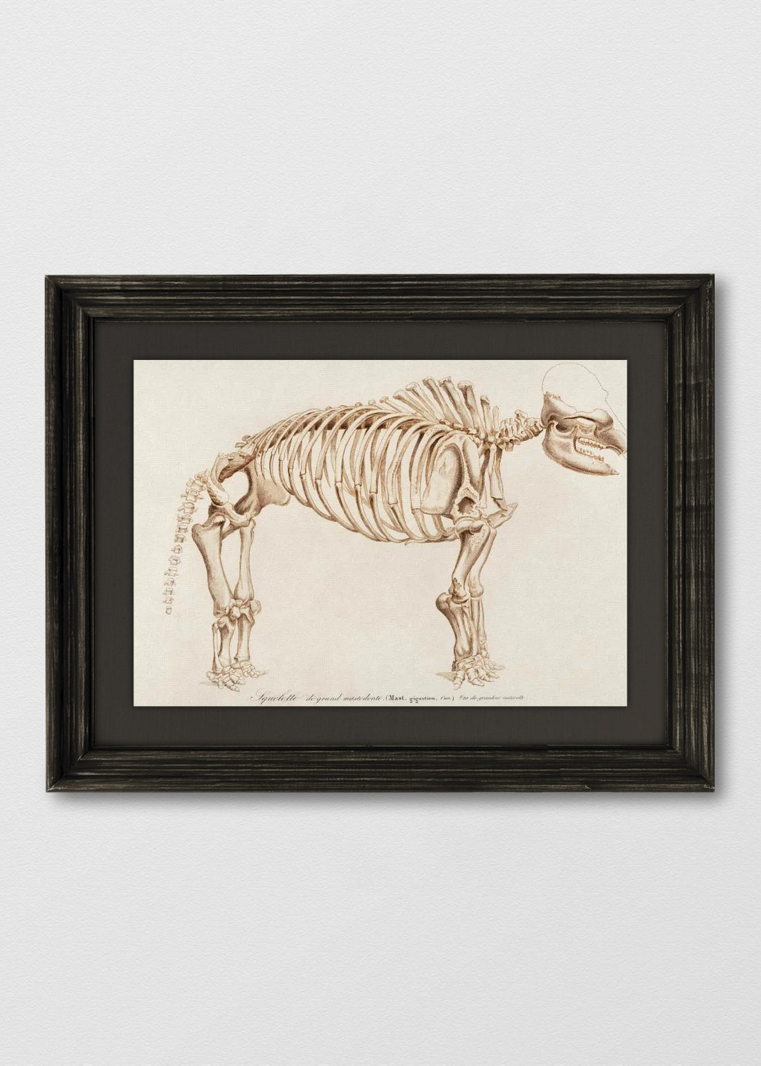 VINTAGE NEGRO LINO NEGRO