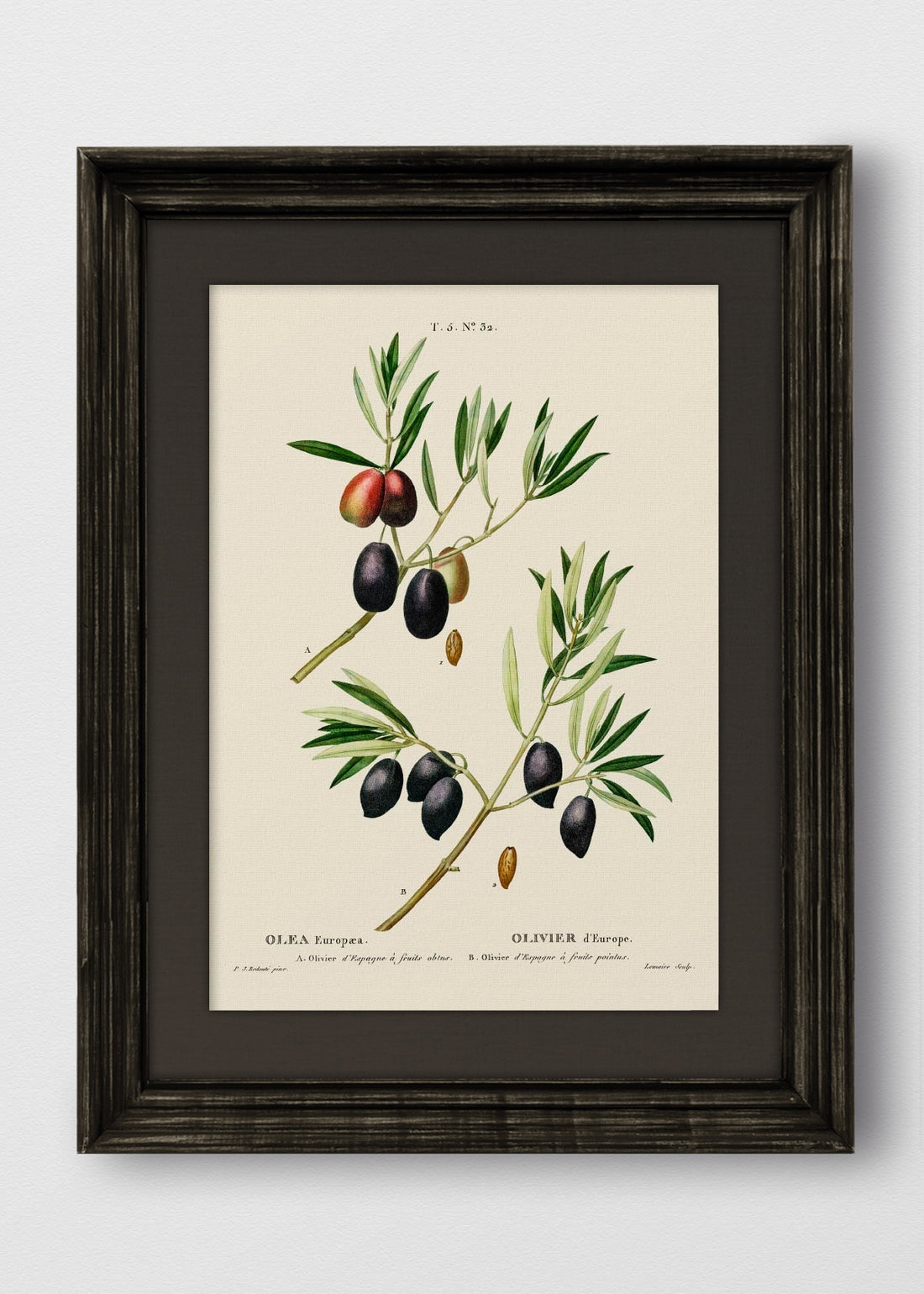 VINTAGE NEGRO LINO NEGRO