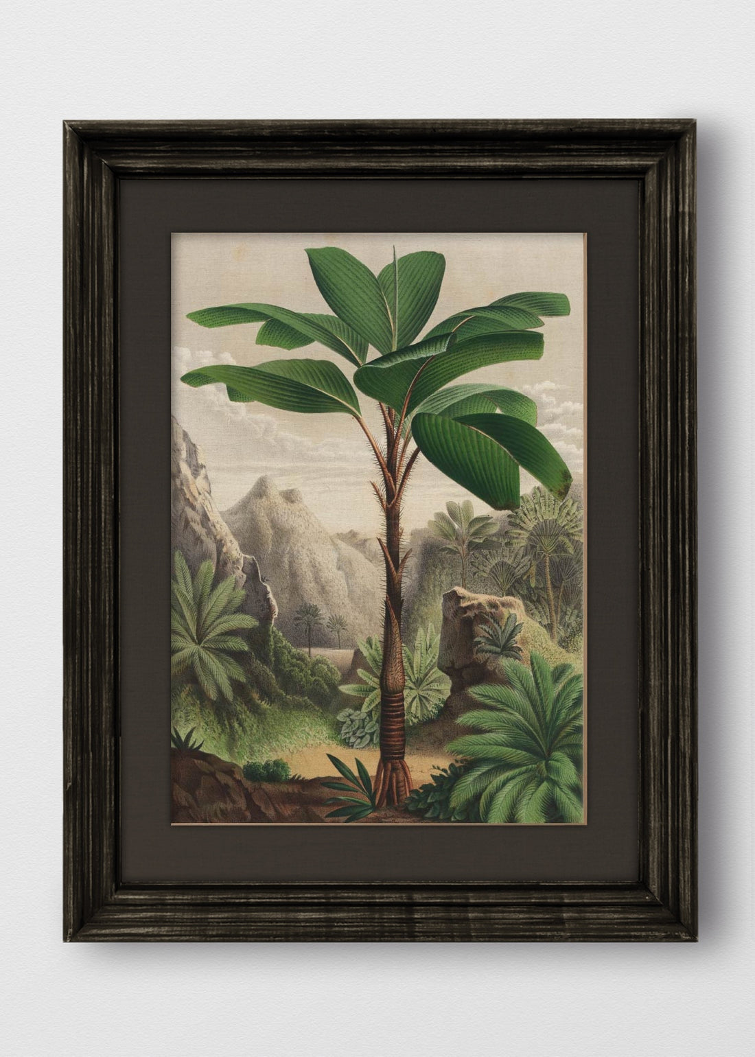VINTAGE NEGRO LINO NEGRO