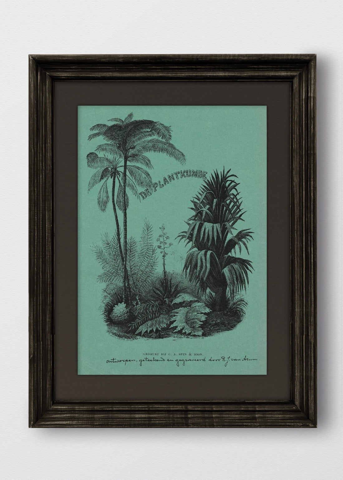 VINTAGE NEGRO LINO NEGRO