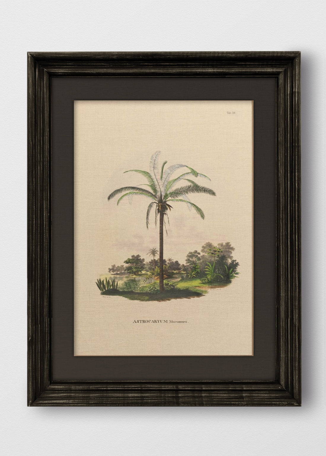 VINTAGE NEGRO LINO NEGRO