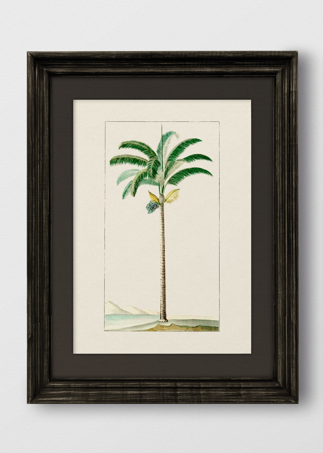 VINTAGE NEGRO LINO NEGRO