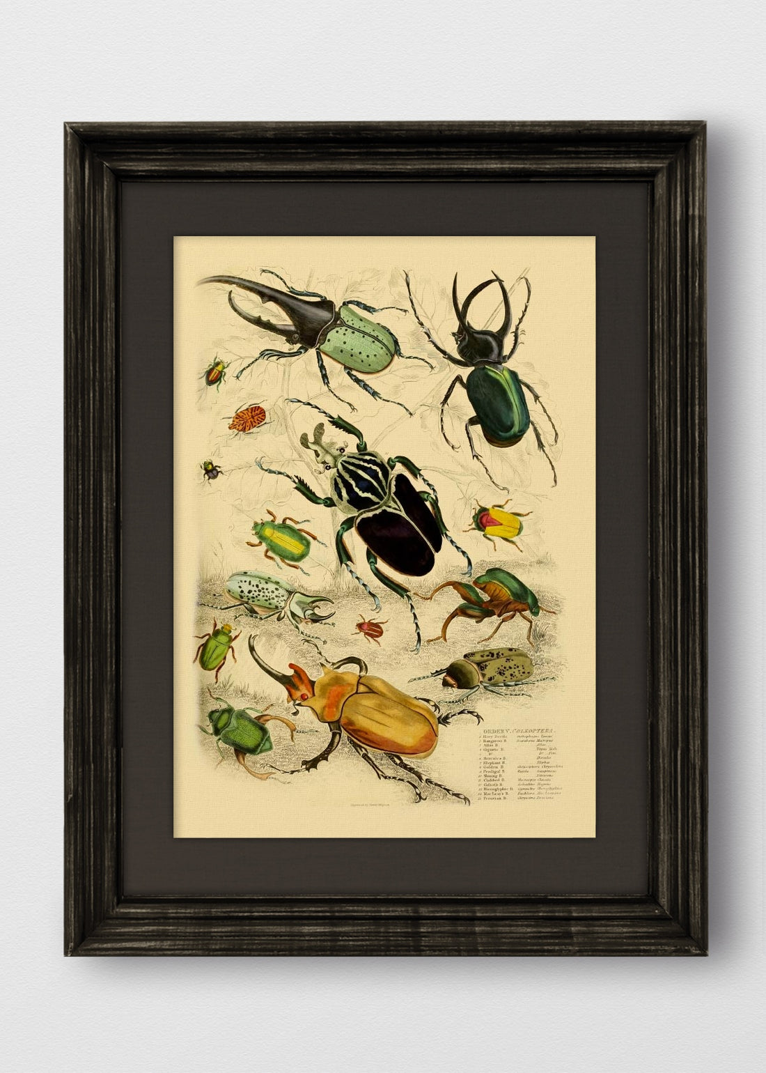 VINTAGE NEGRO LINO NEGRO