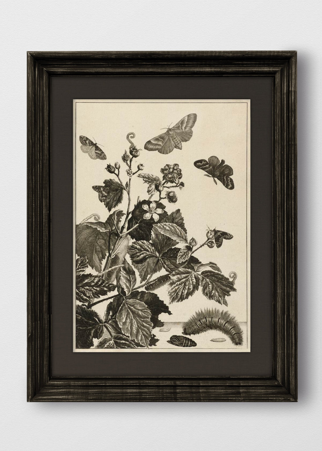 VINTAGE NEGRO LINO NEGRO