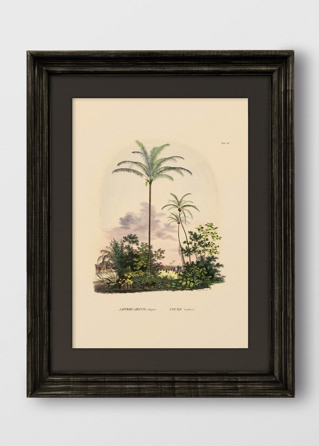 VINTAGE NEGRO LINO NEGRO