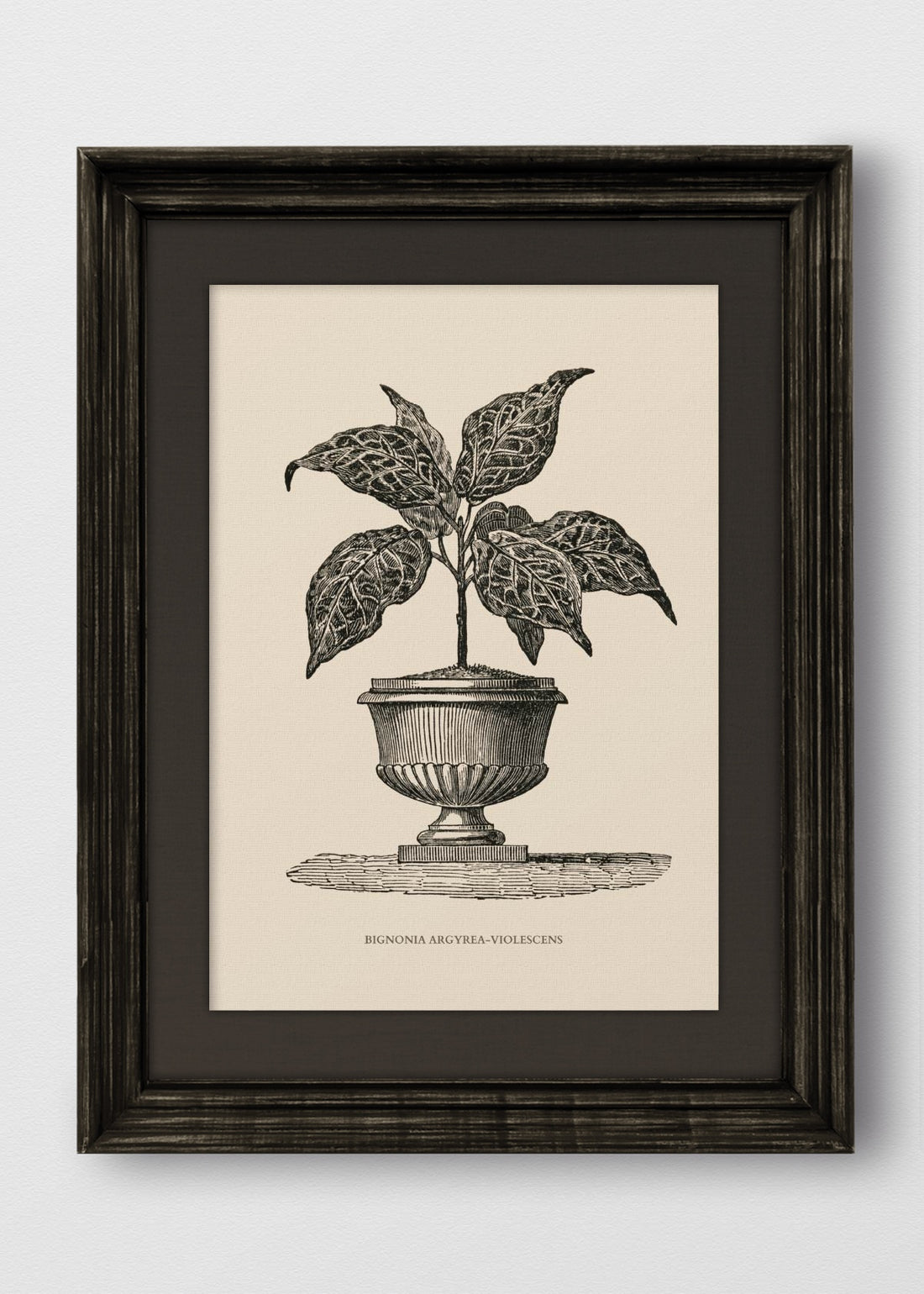 VINTAGE NEGRO LINO NEGRO